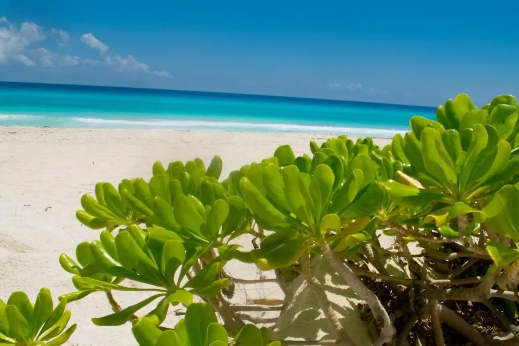 Villas Marlin 108, A Pie De Playa, Albercas, Jacuzi, Ubicacion Inmejorable Cancún 0*,  México